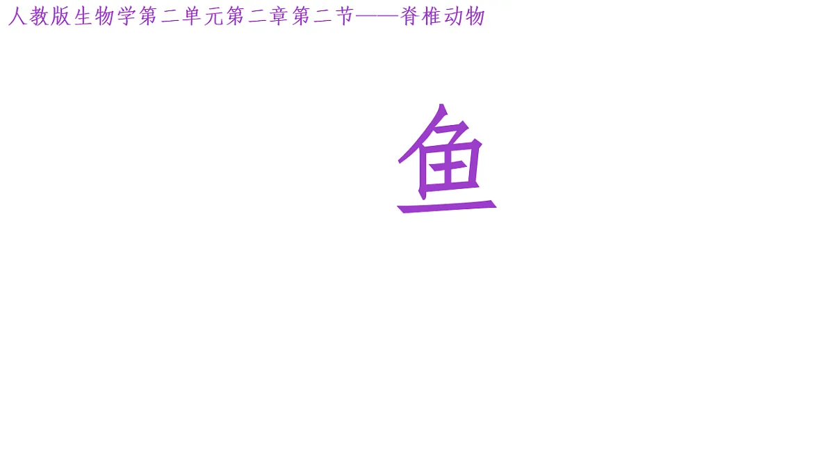 17365508第1页