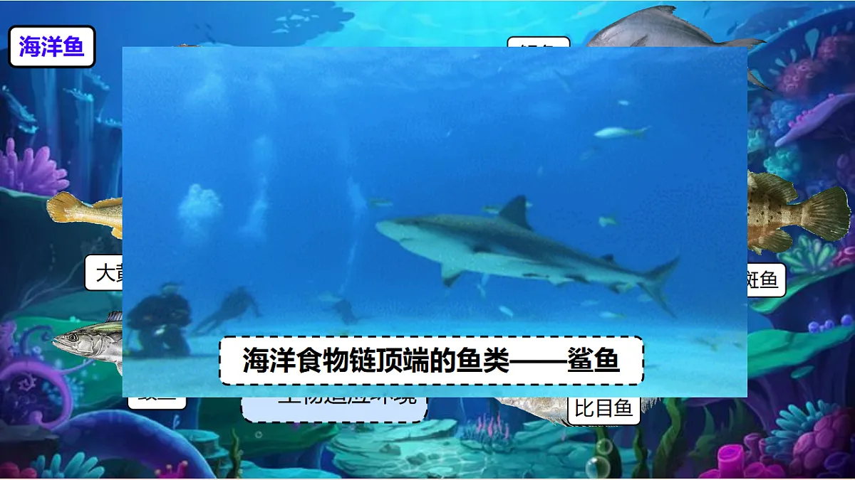 17365508第4页