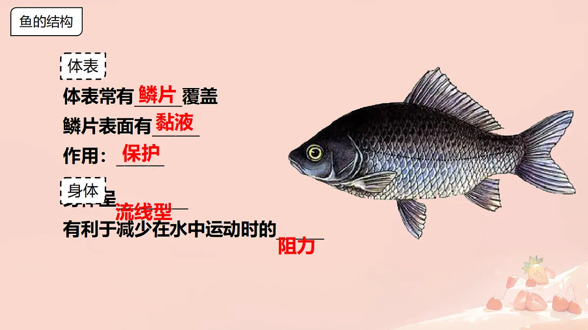 17365508第6页