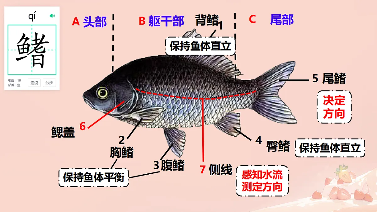 17365508第7页