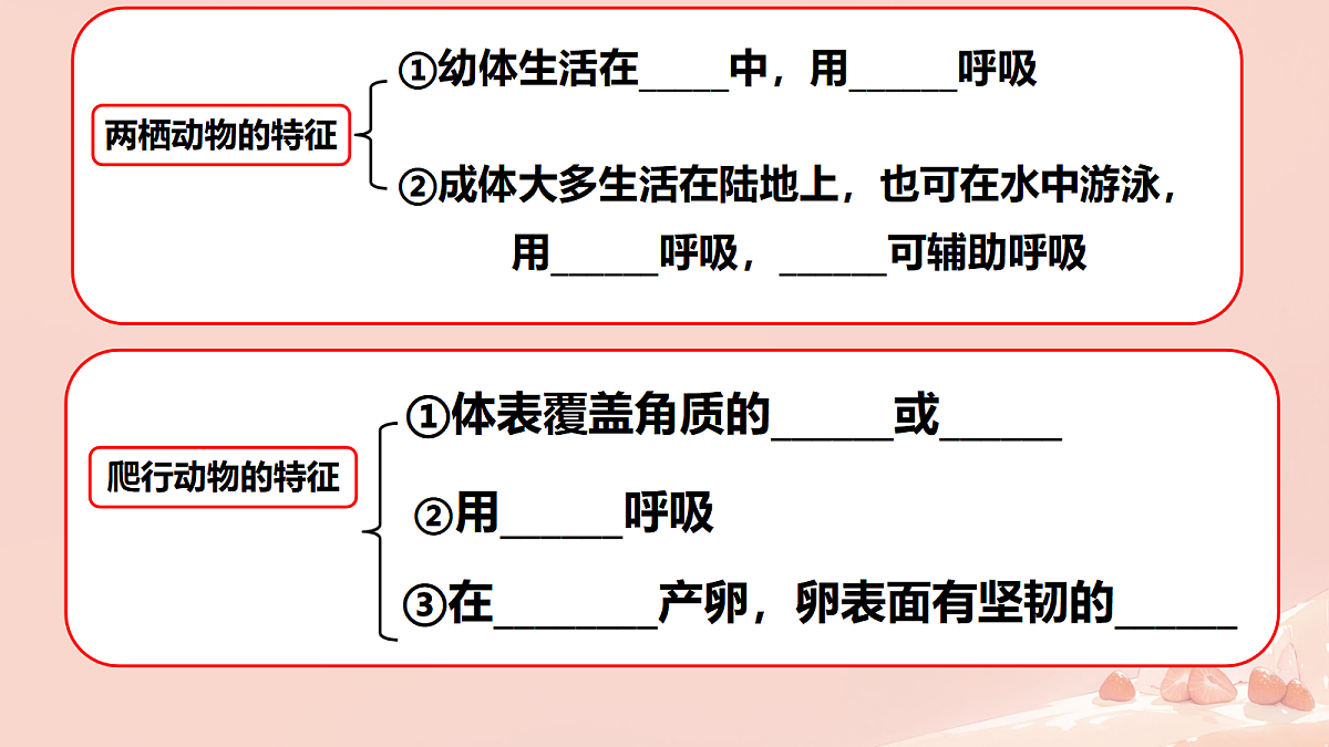 17365509第2页