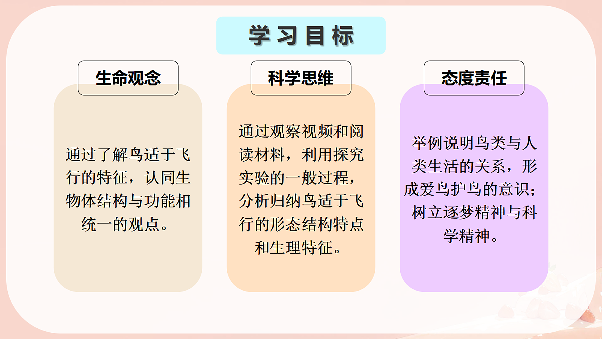 17365509第3页