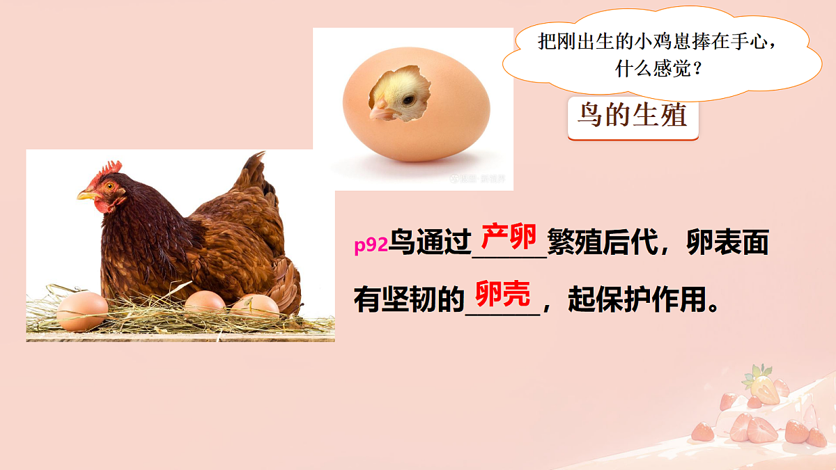 17365509第5页