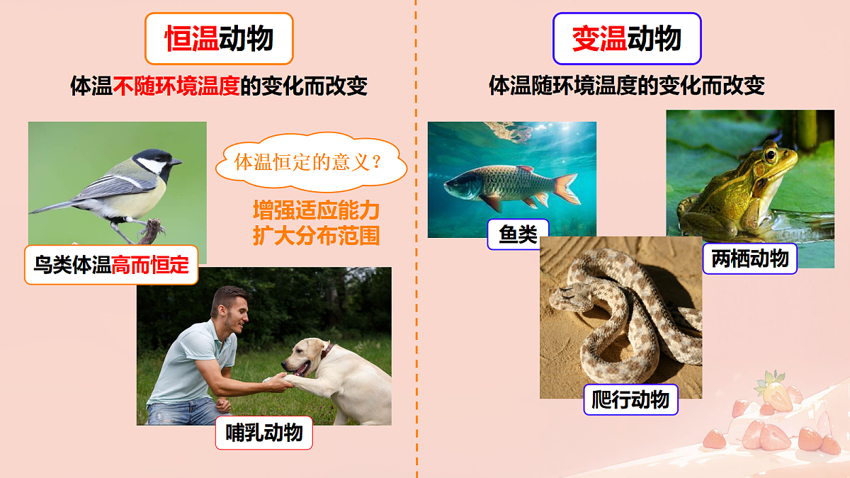 17365509第6页
