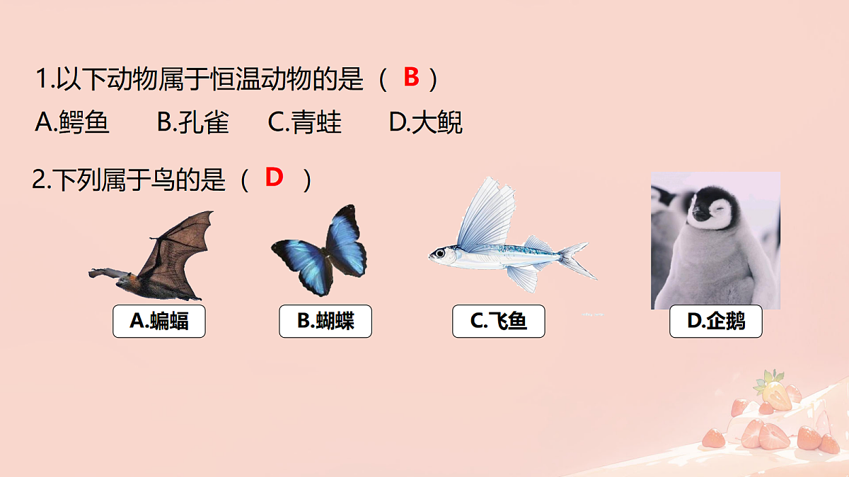 17365509第7页