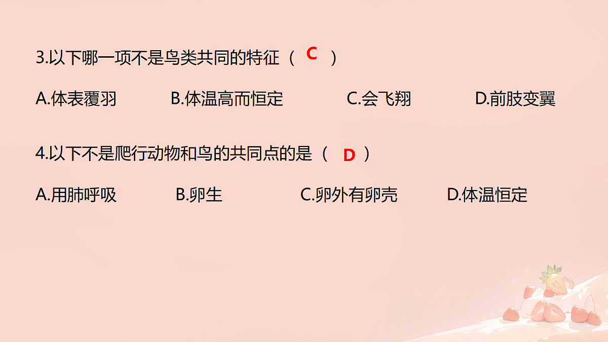 17365509第8页