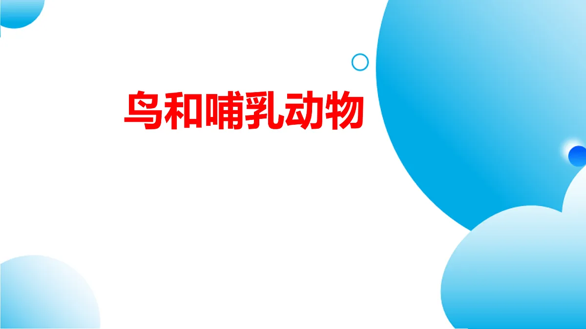 17365511第1页