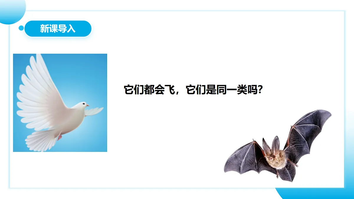 17365511第2页