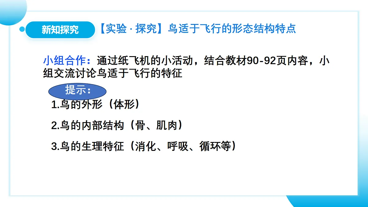 17365511第5页