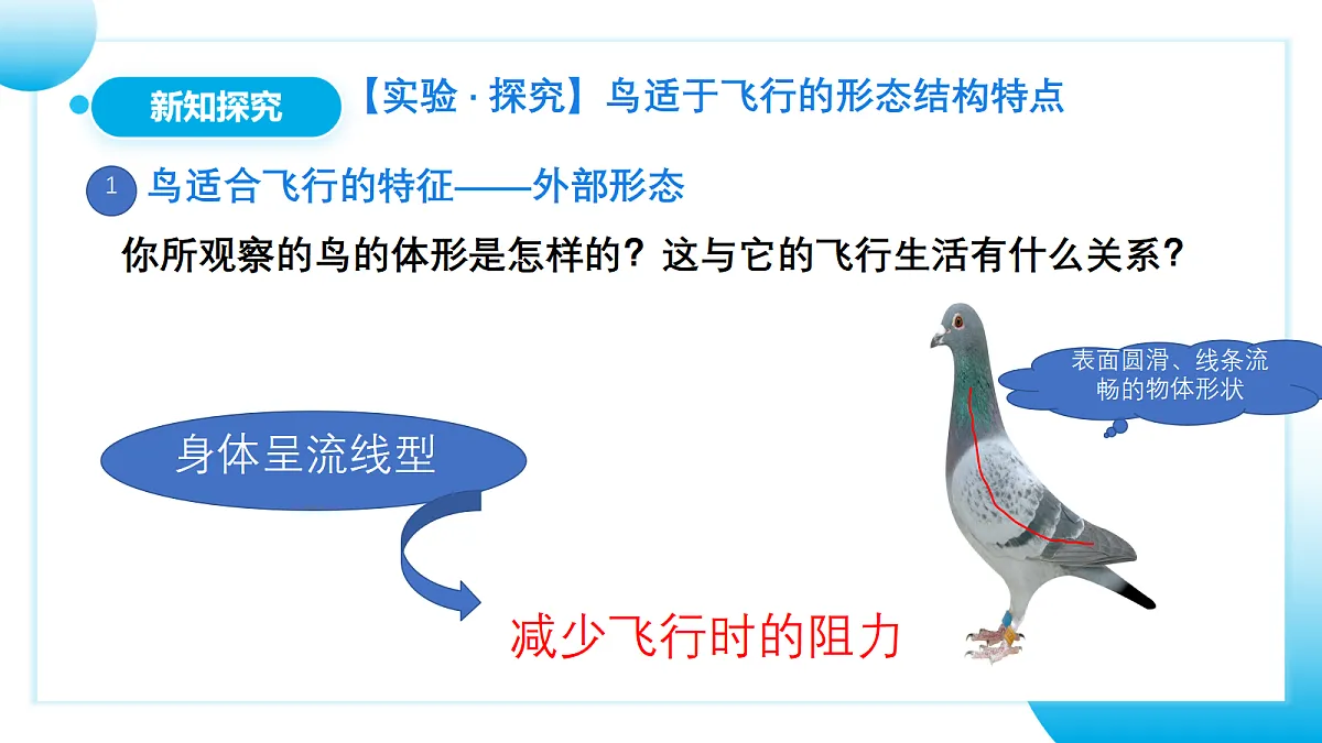 17365511第6页
