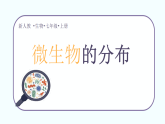 初中  生物  人教版（2024）  七年级上册2.3.1 微生物的分布 课件