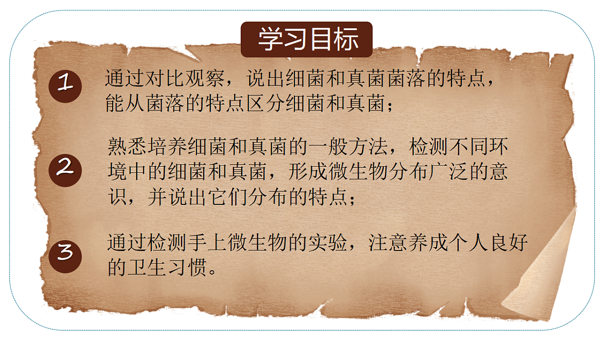 17365660第3页