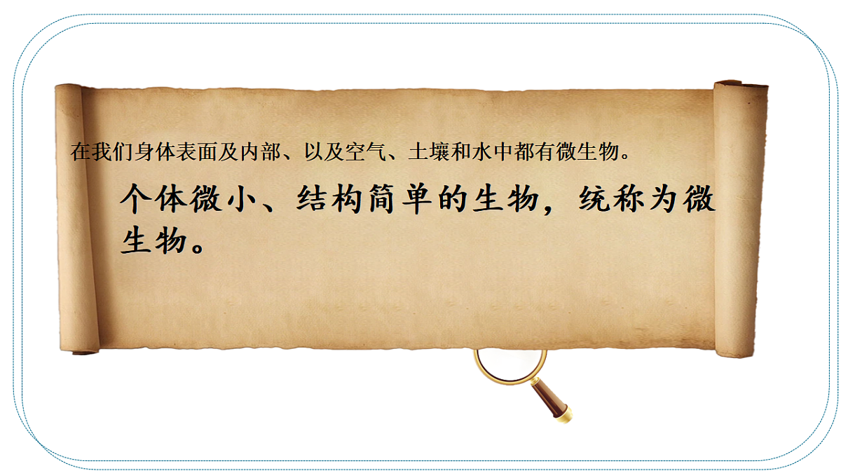 17365660第5页