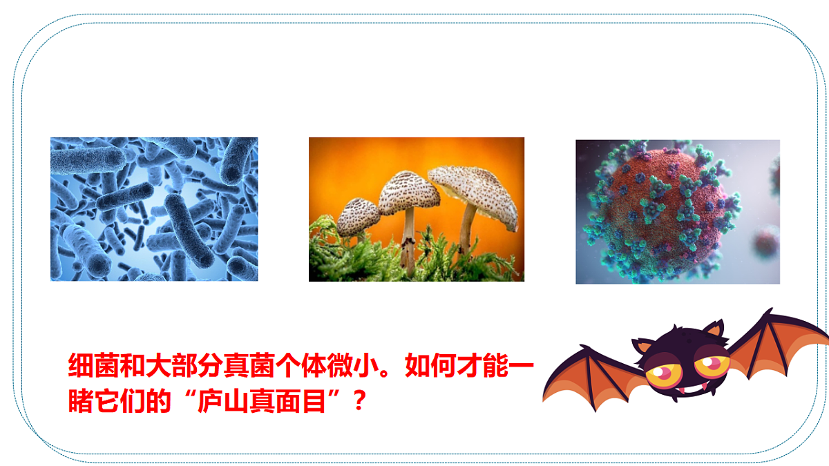 17365660第6页