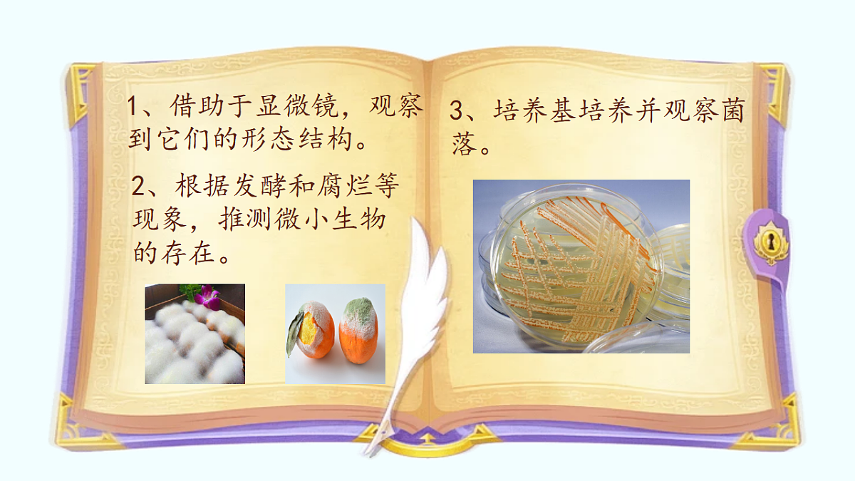 17365660第7页