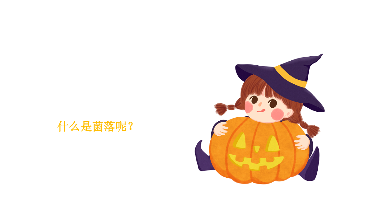 17365660第8页
