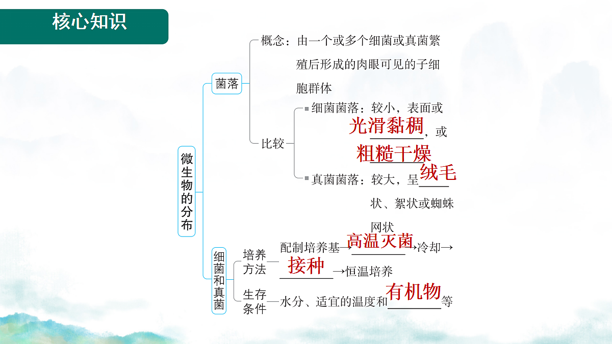 17365661第3页
