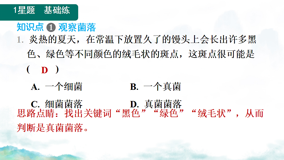 17365661第4页