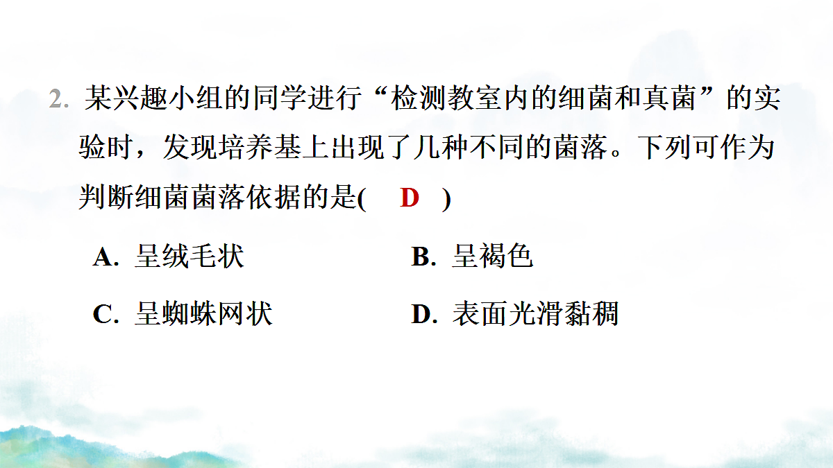17365661第5页