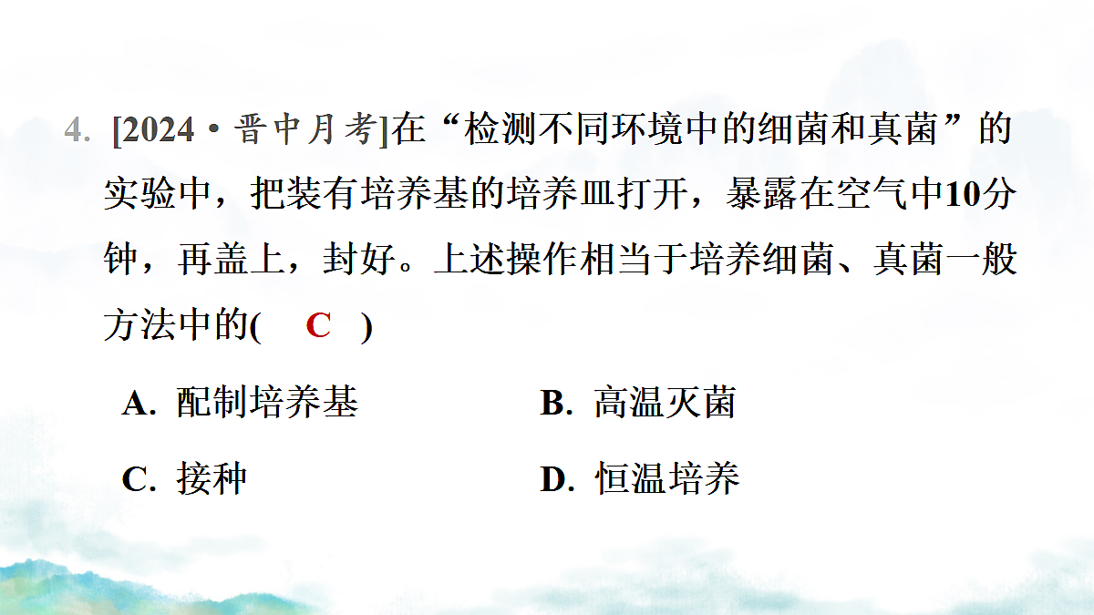 17365661第7页