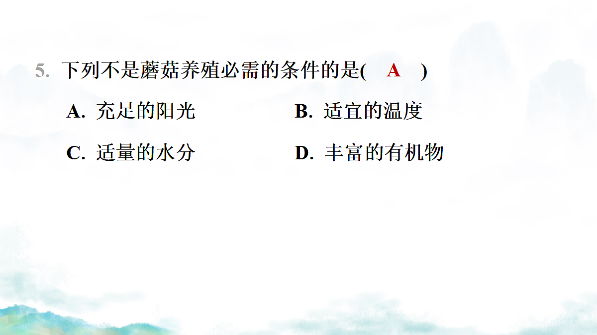 17365661第8页