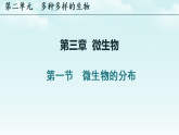 初中  生物  人教版（2024）  七年级上册2.3.1 微生物的分布 课件