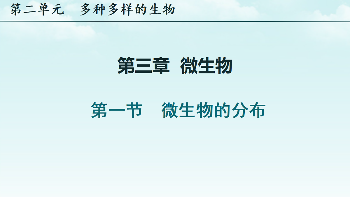 17365662第1页