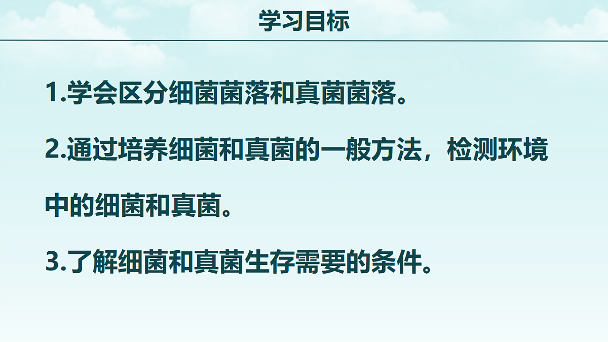 17365662第2页