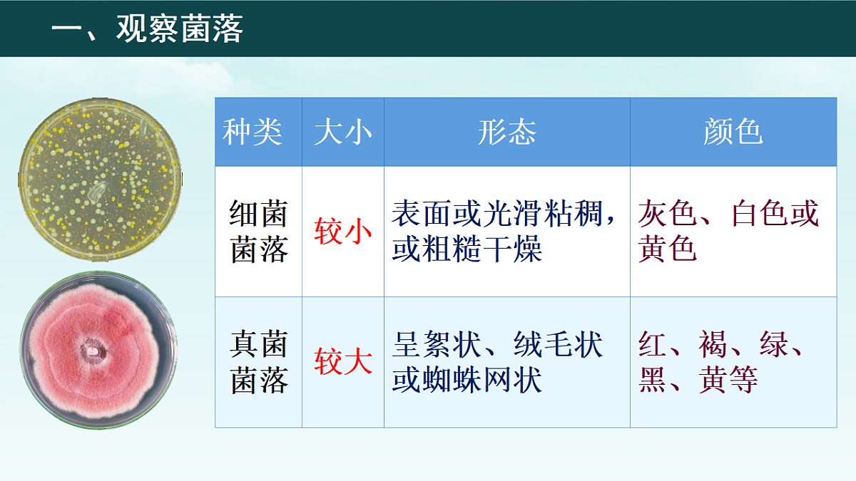 17365662第3页