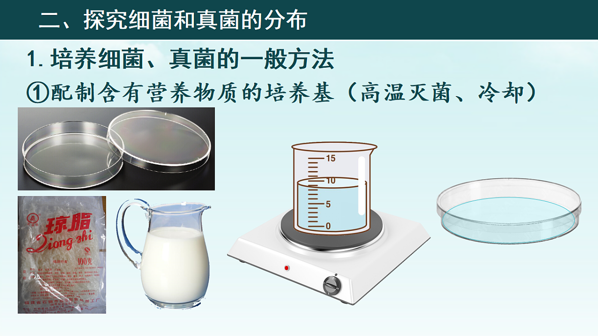 17365662第4页