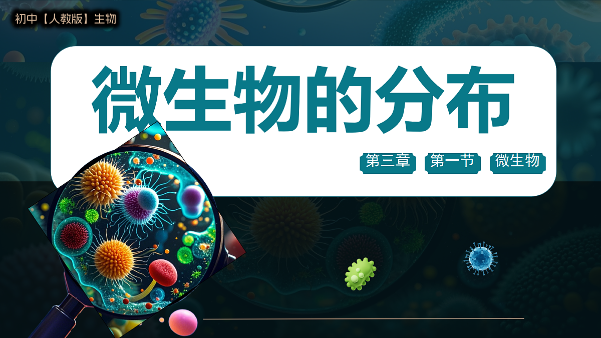 17365663第1页