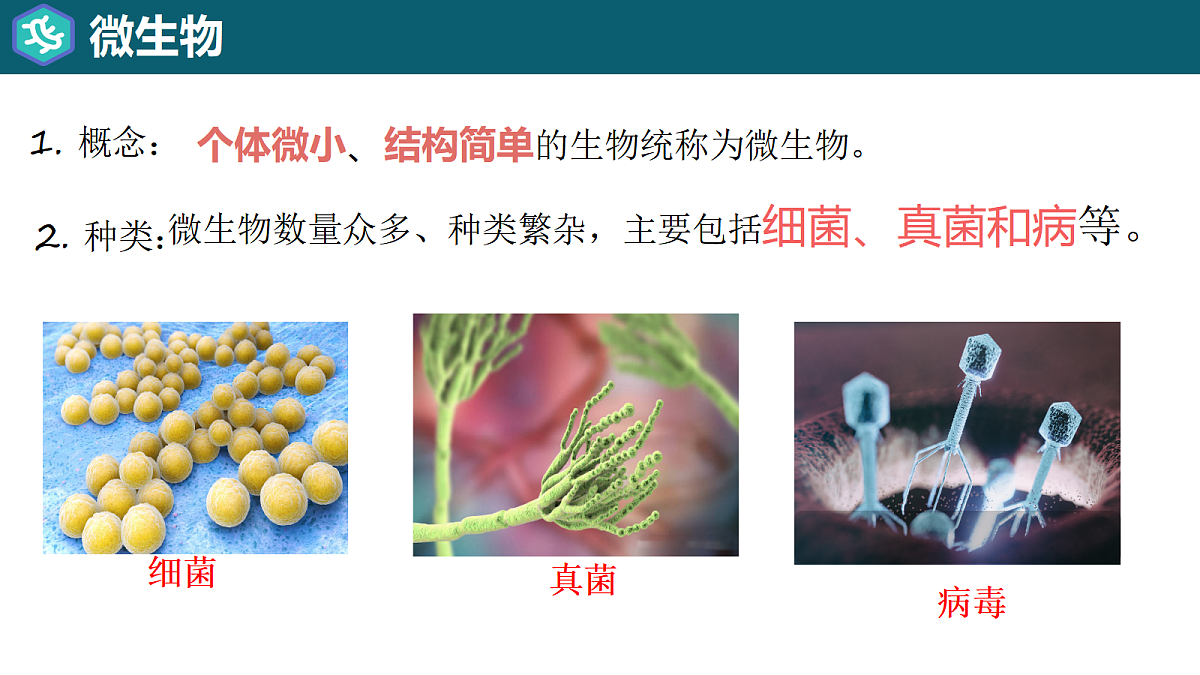 17365663第2页