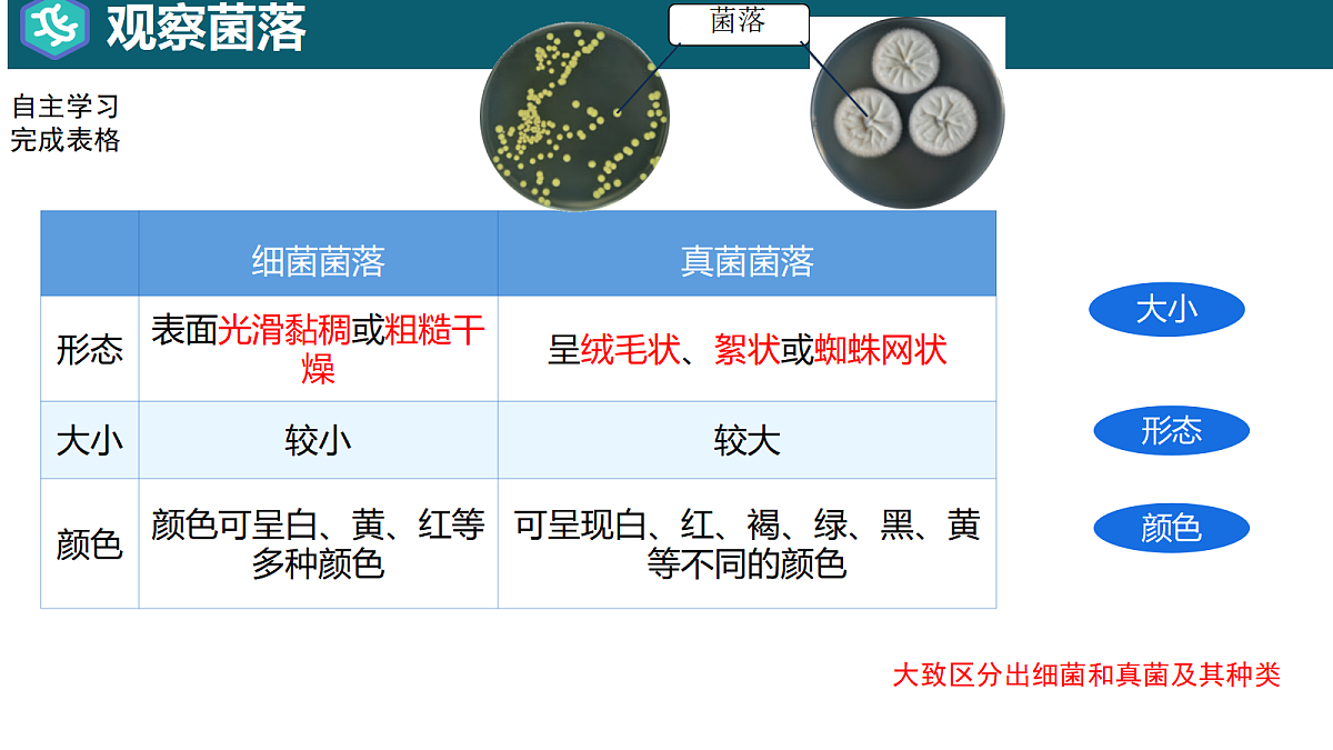 17365663第4页
