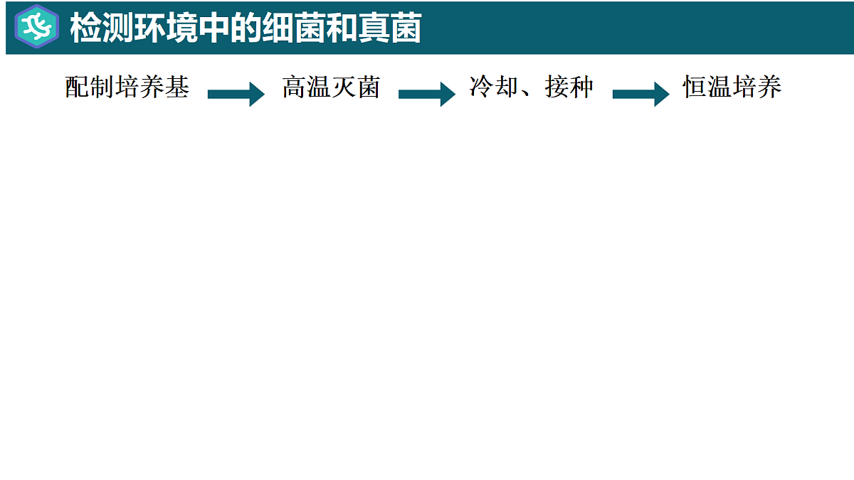 17365663第5页