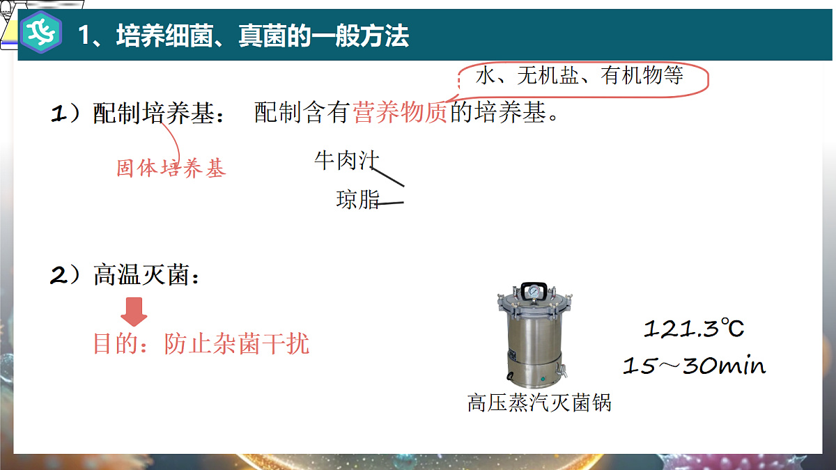 17365663第6页