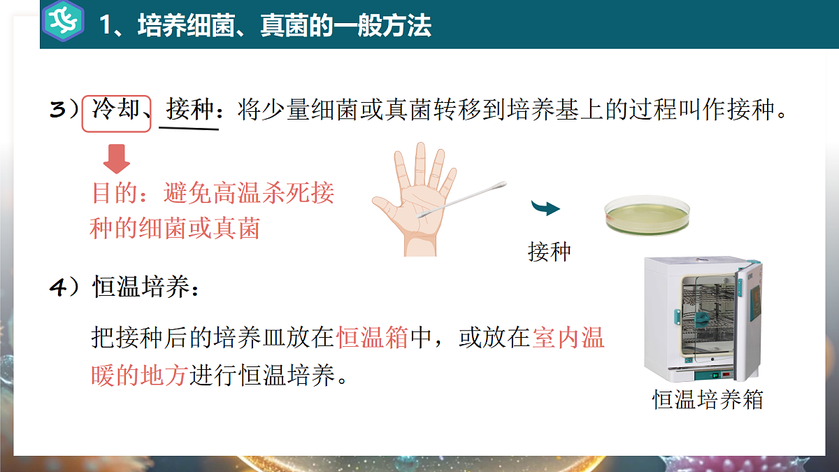 17365663第7页