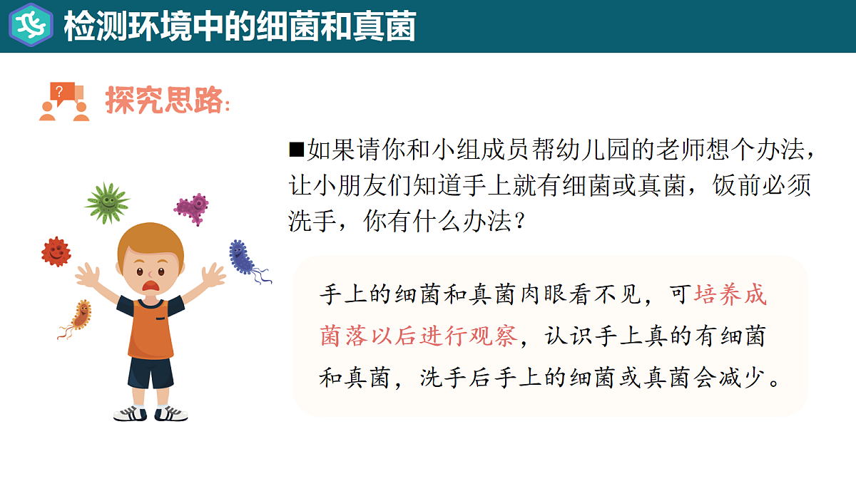 17365663第8页