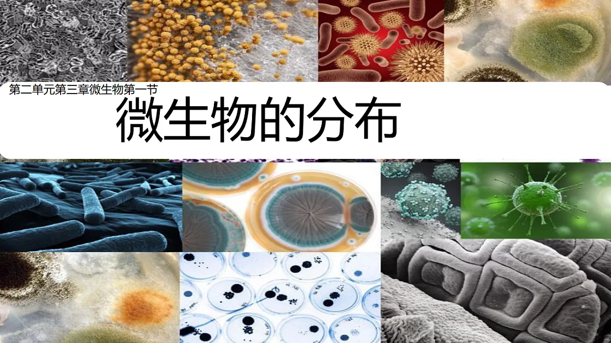 17365664第1页