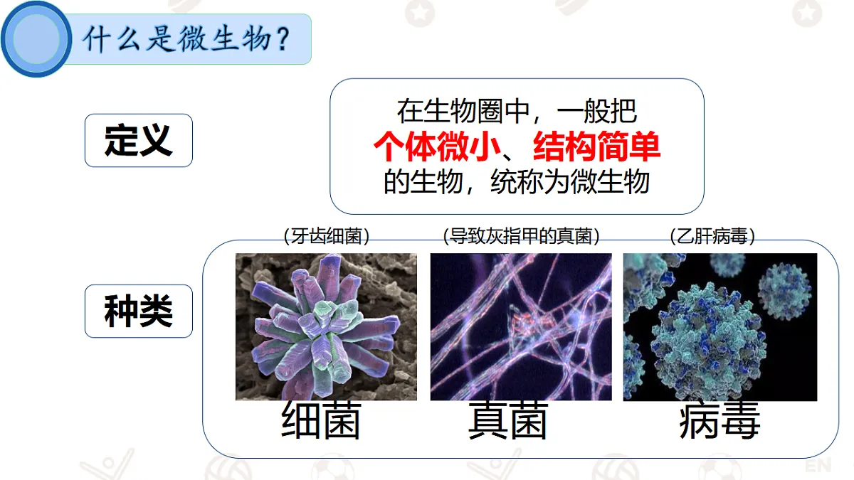 17365664第4页