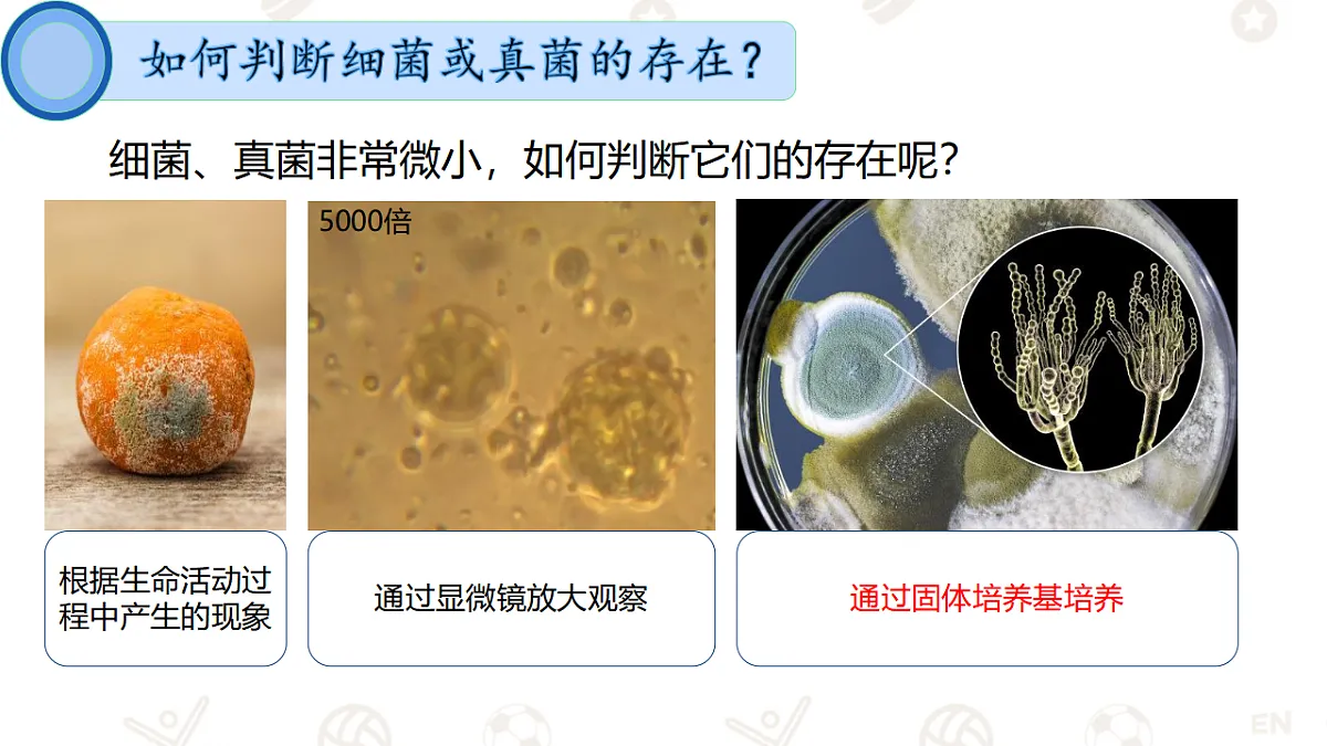 17365664第5页