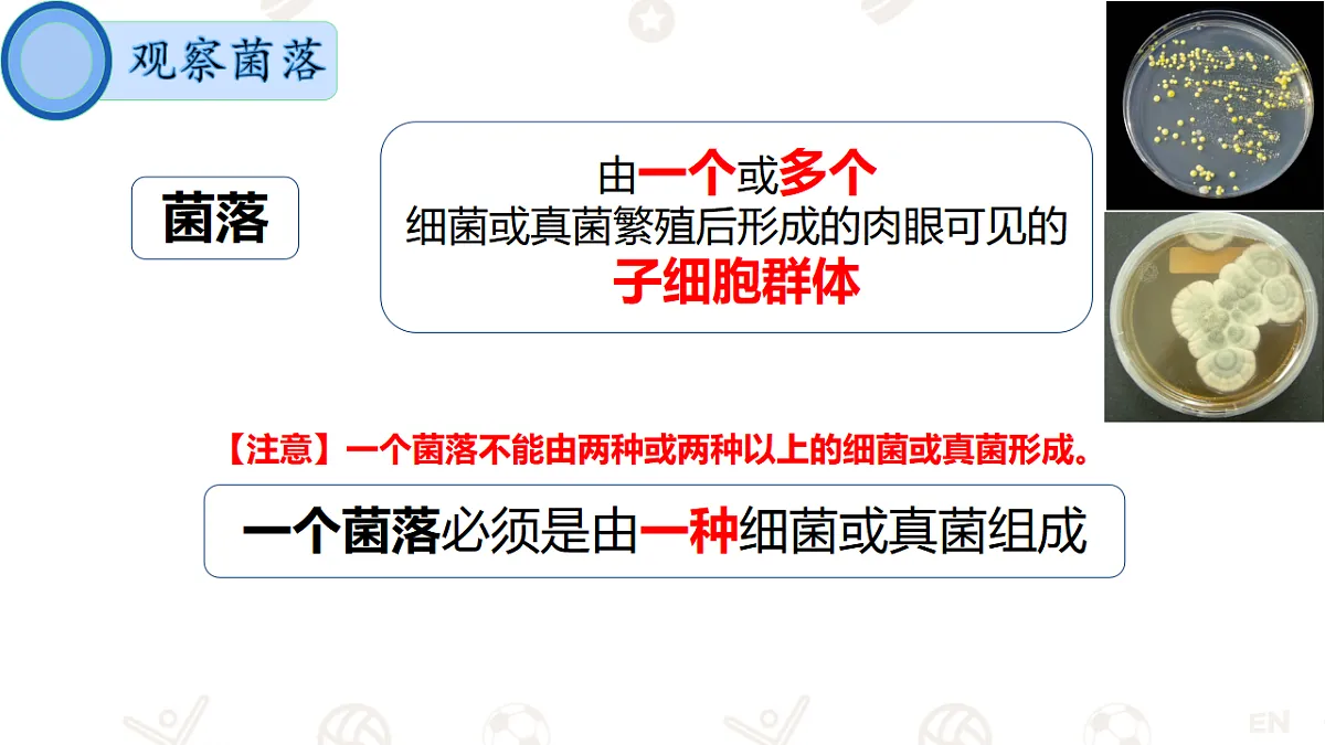17365664第6页