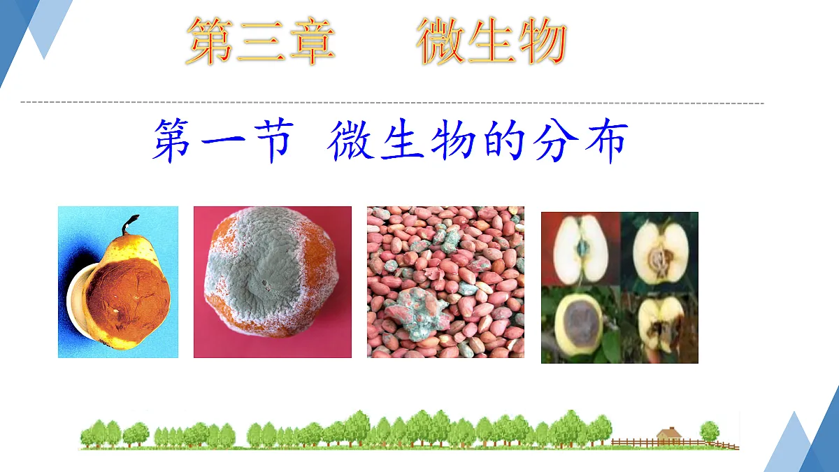 17365665第1页