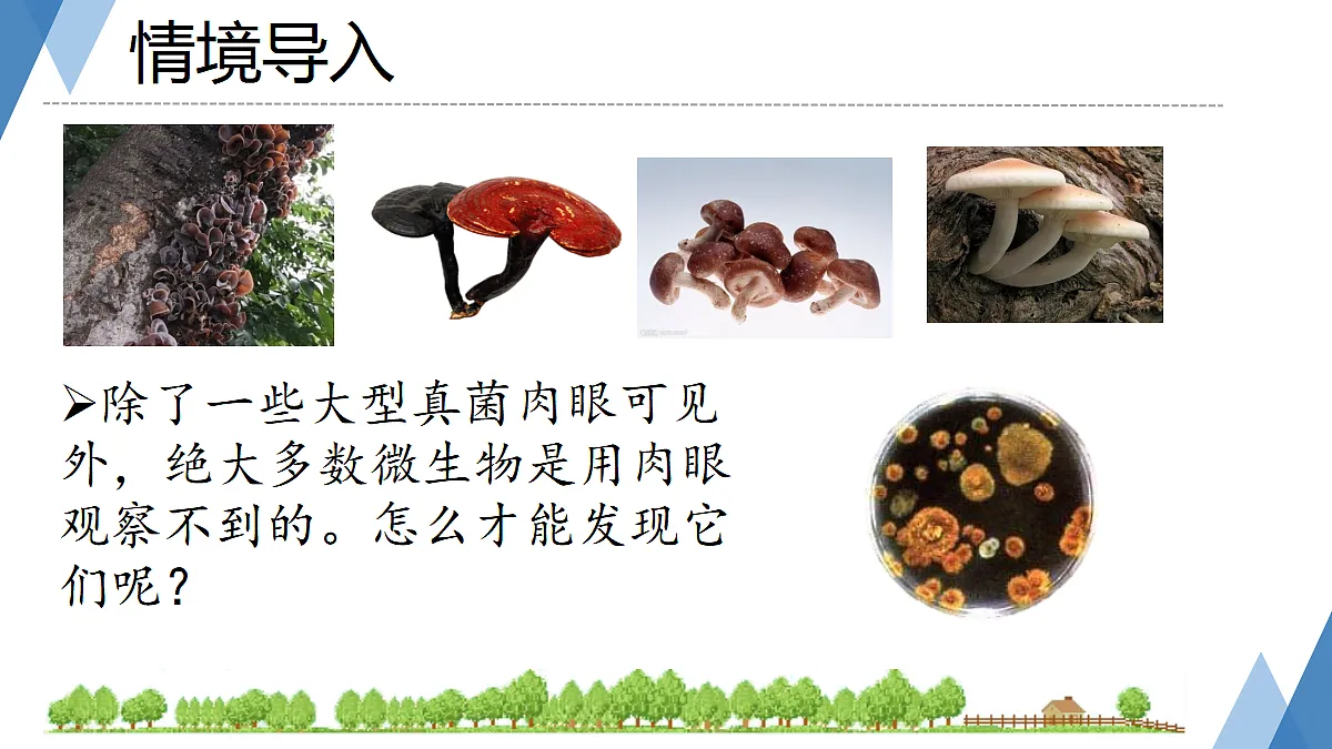 17365665第2页
