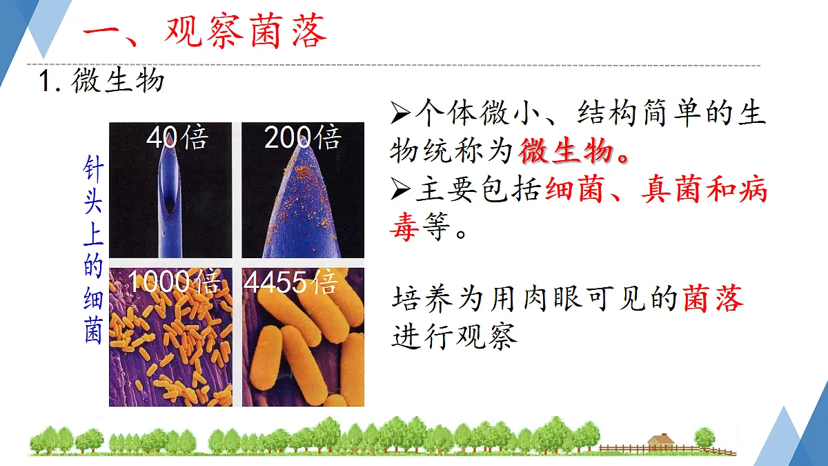 17365665第3页
