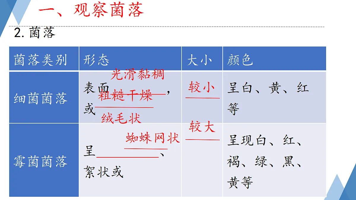 17365665第5页