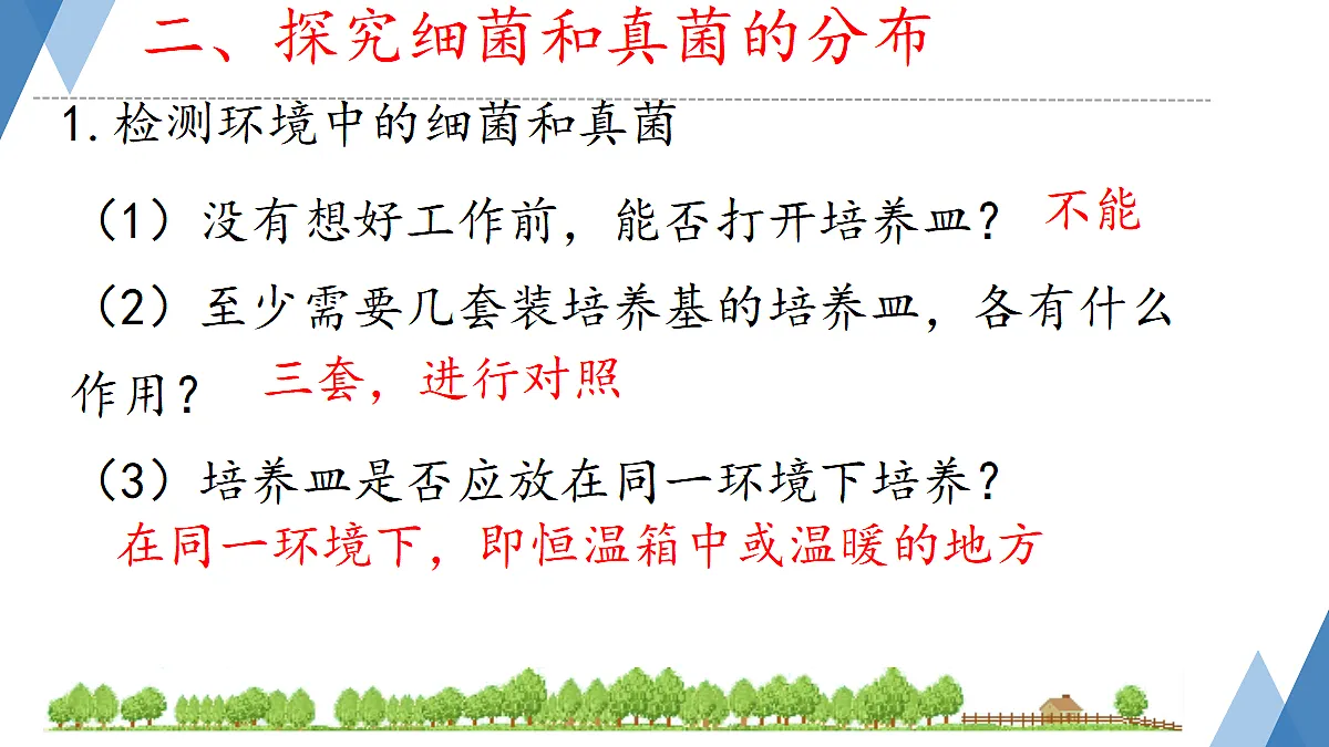 17365665第7页
