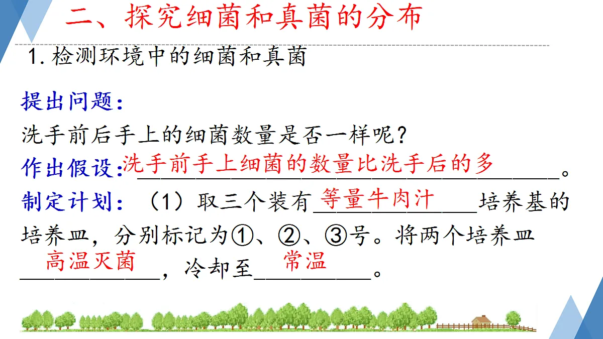 17365665第8页