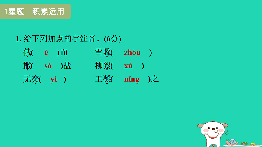 17365679第3页