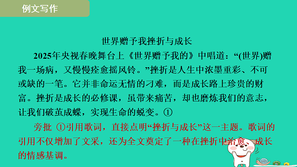 17365681第3页