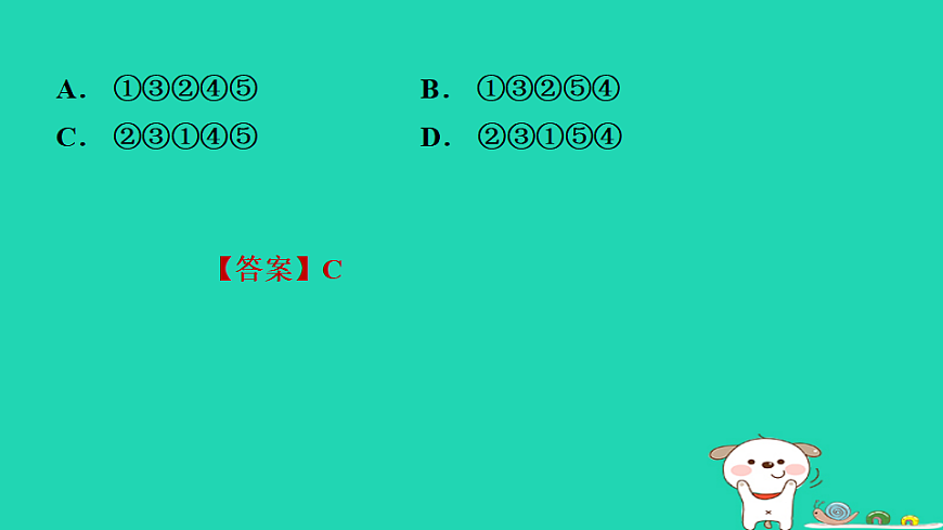 17365694第7页